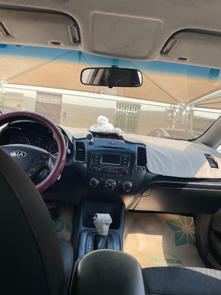 كيا سيراتو ٢٠١٦ - 6