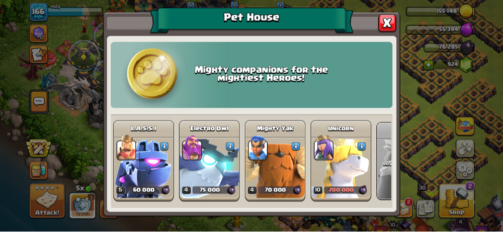 Town Hall 14 Max - 15