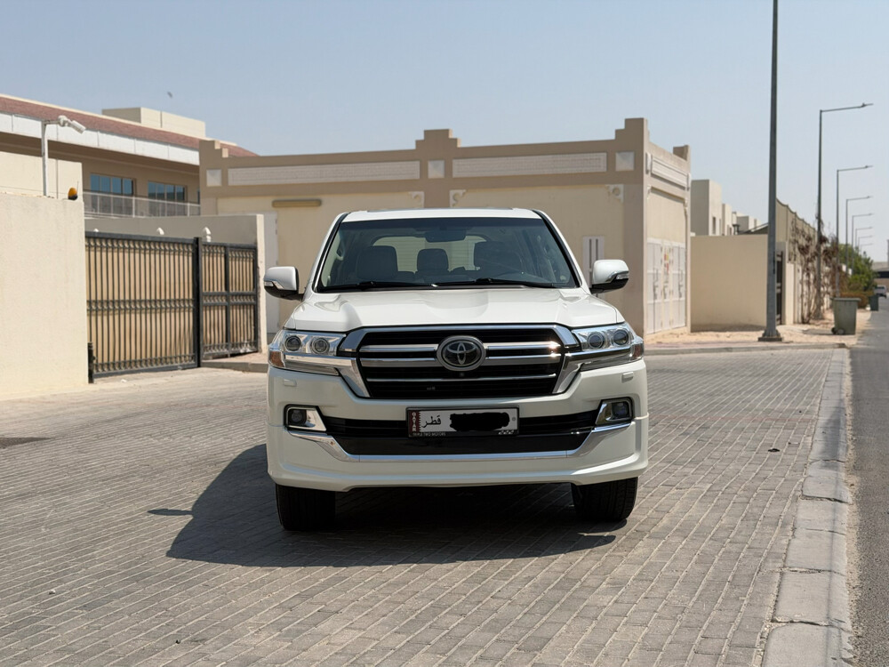 VXR MODEL 2019 - 1