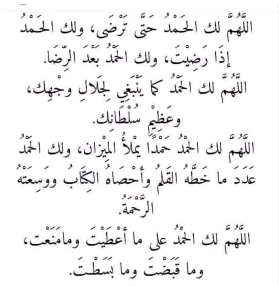 سايق مصري يبحث عن عمل - 1