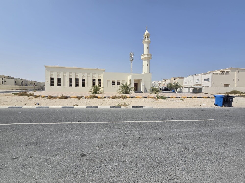 فلتين متلاصقات بالخيسه الجديده - 2