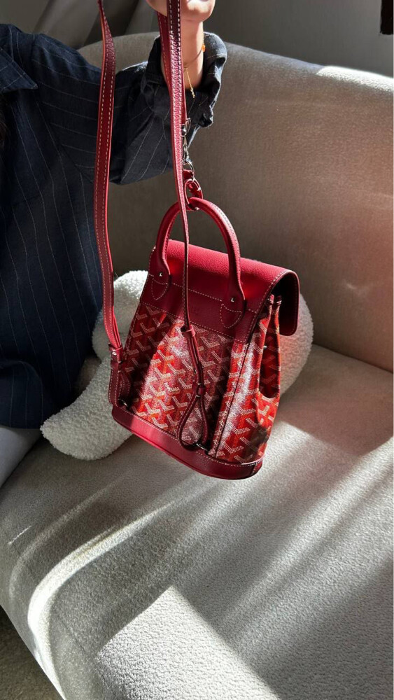Goyard Alpin Mini Backpack 1600 - 3