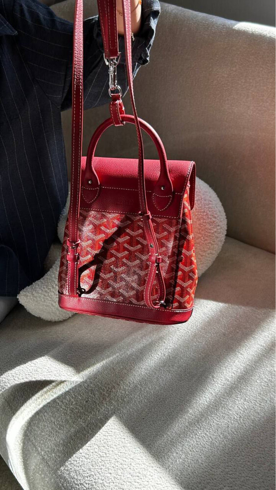 Goyard Alpin Mini Backpack 1600 - 4
