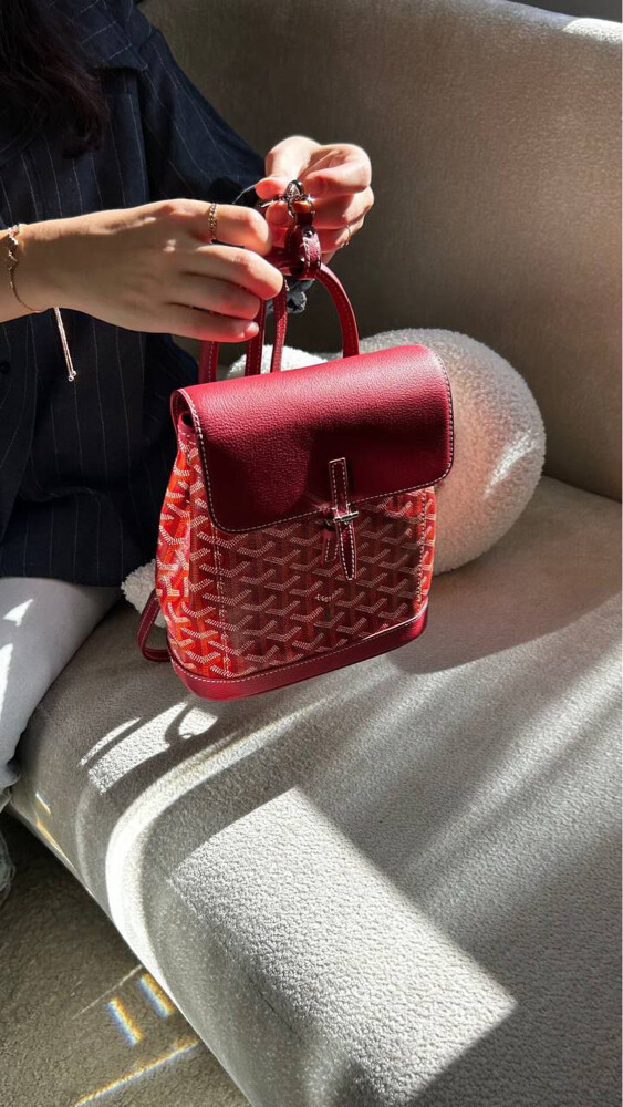 Goyard Alpin Mini Backpack 1600 - 2