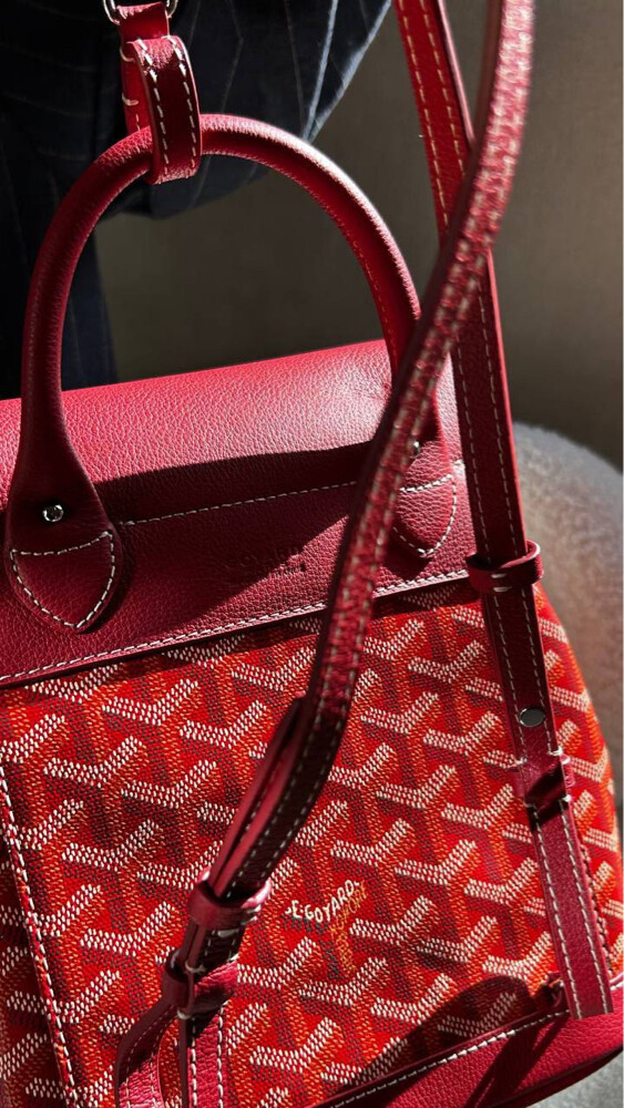 Goyard Alpin Mini Backpack 1600 - 5