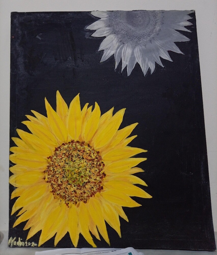 Visual arts projects - 3