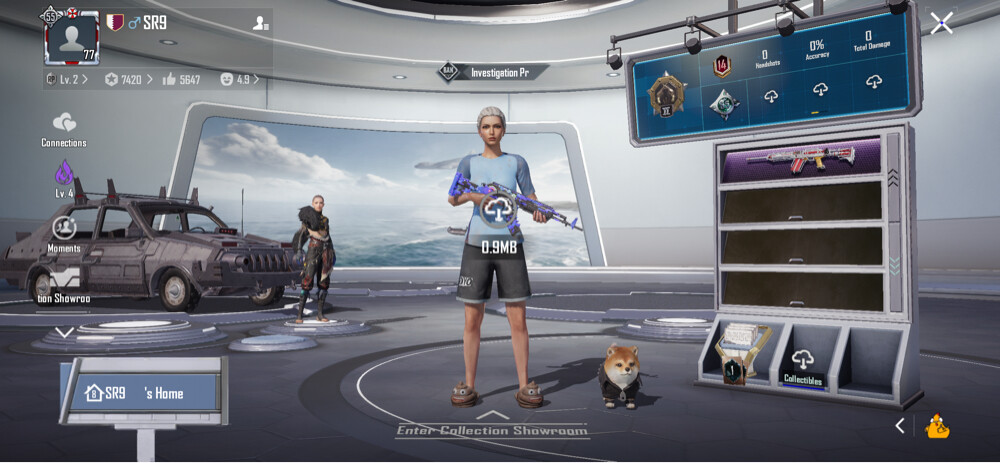 pubg old account - 6