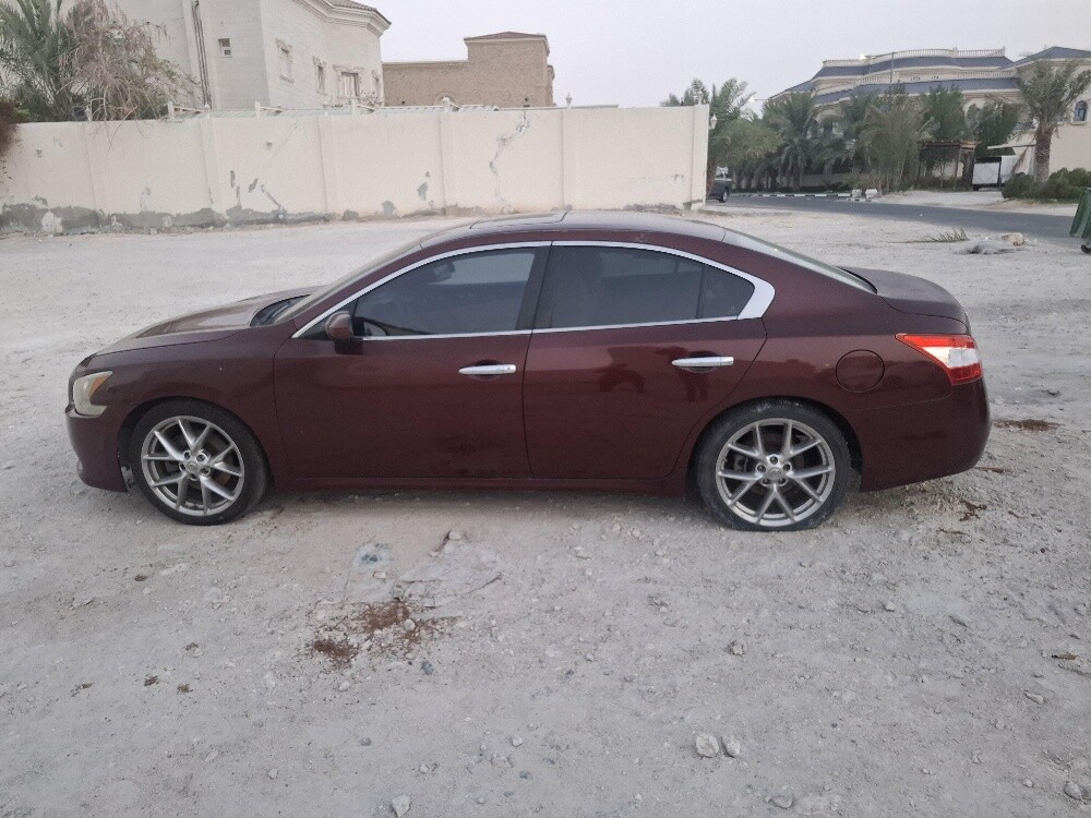 for sale - 11