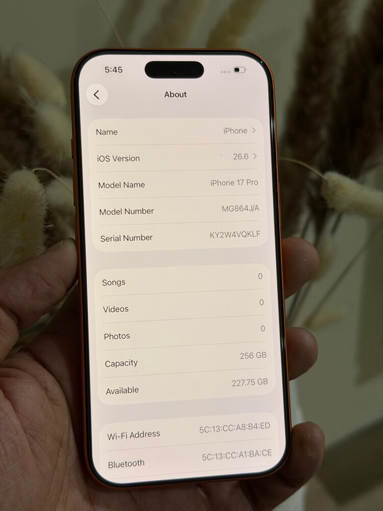 iPhone 17 Pro 256 GB 91% - 4