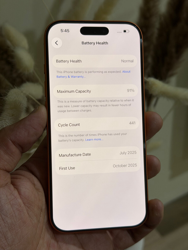 iPhone 17 Pro 256 GB 91% - 3