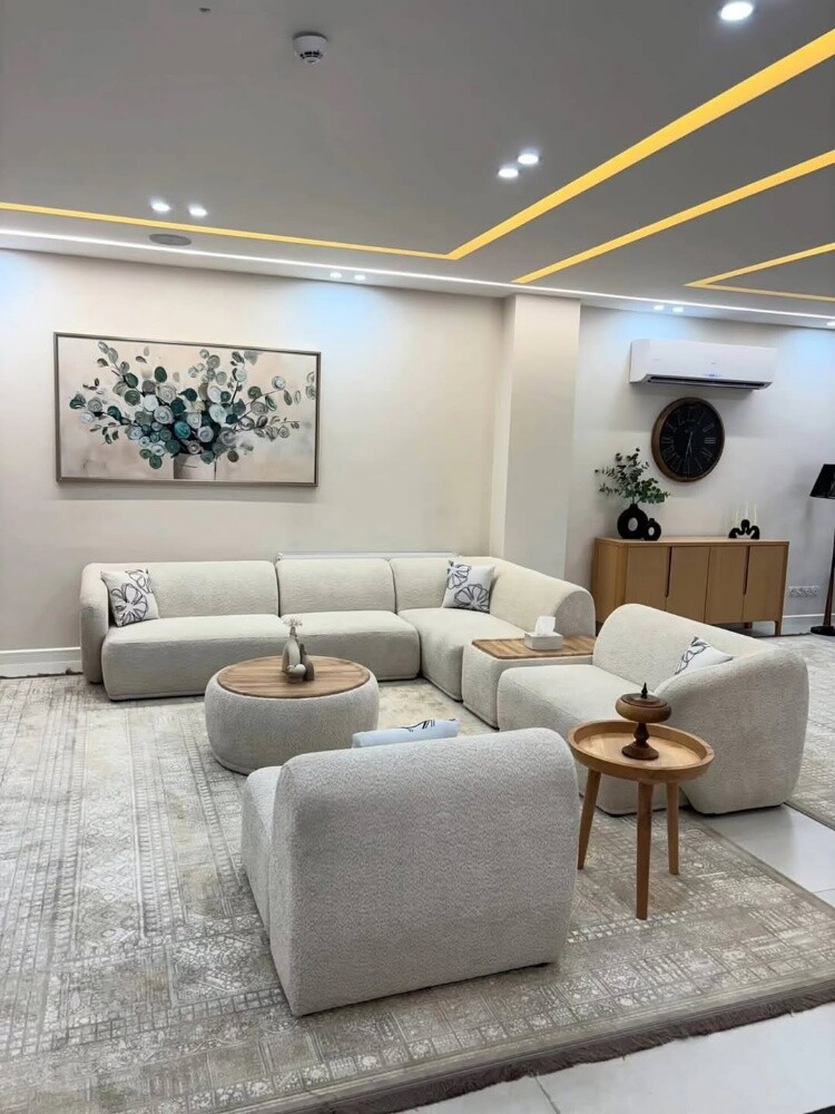 Sofa's And Chair - 11