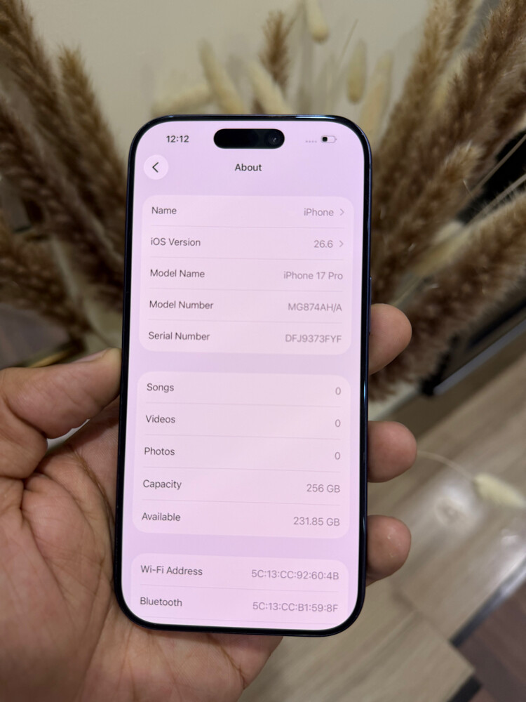 iPhone 17 Pro 256 GB 91% - 5