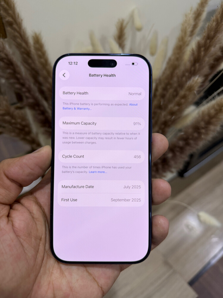 iPhone 17 Pro 256 GB 91% - 2