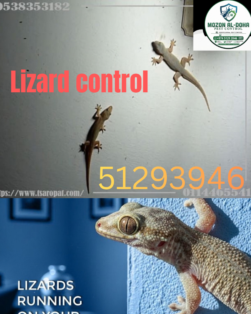 MOZON AL DOHA PEST CONTROL - 2