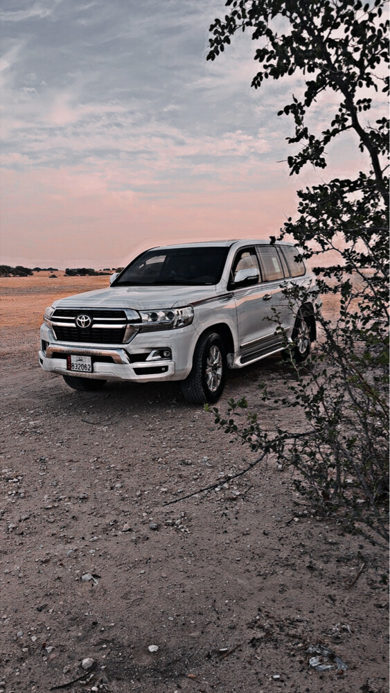 للبيع - 2