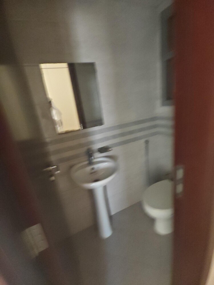 Apartment for rent in Al Sadd - 3