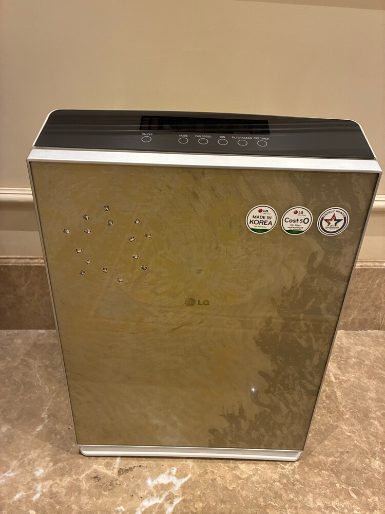 LG Air Purifier - 1