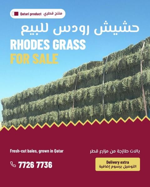 Rhodes Grass - 1