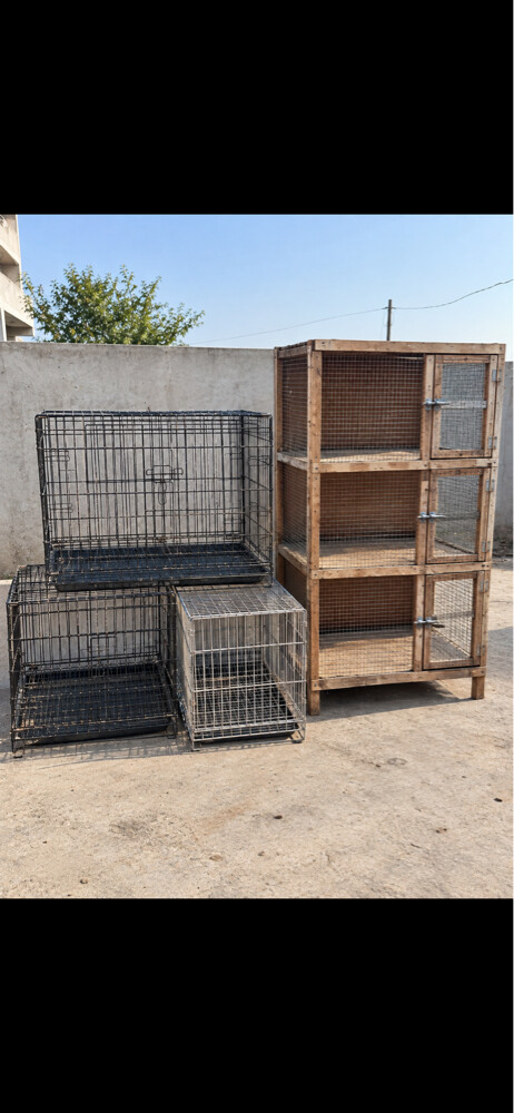 cage - 3