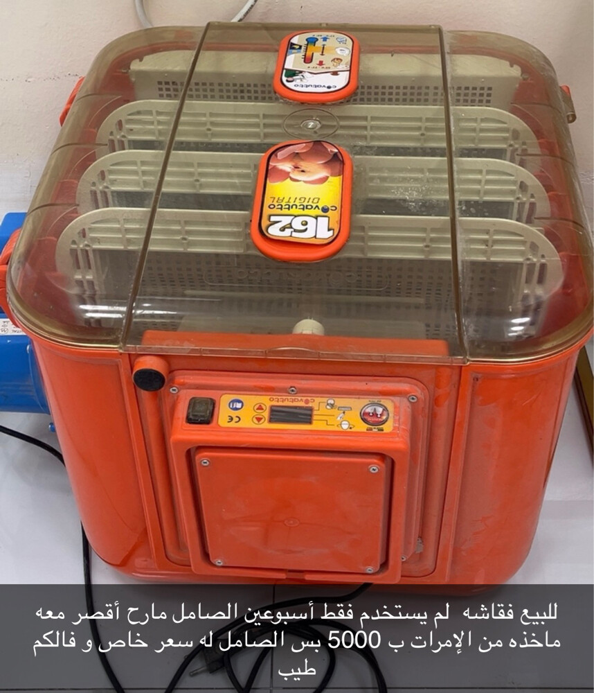 فقاشه - 1