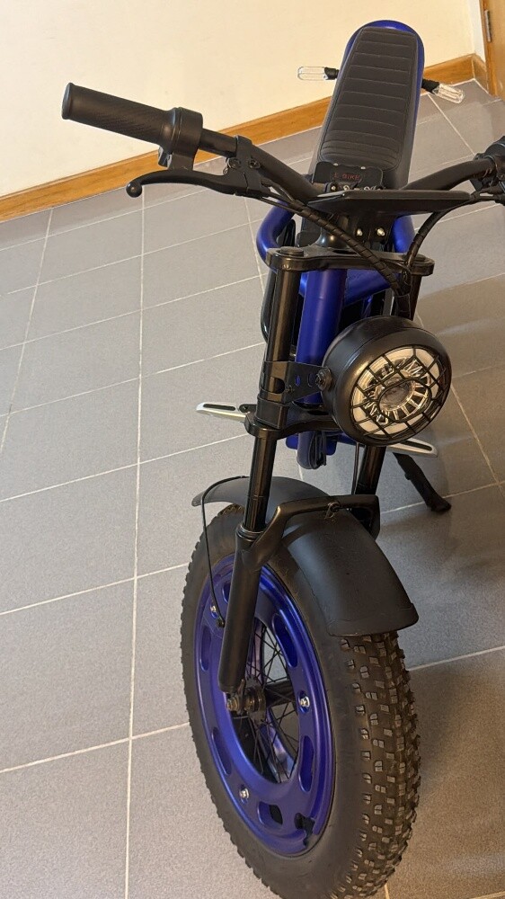 Aster x9 Ebike for sale - 2