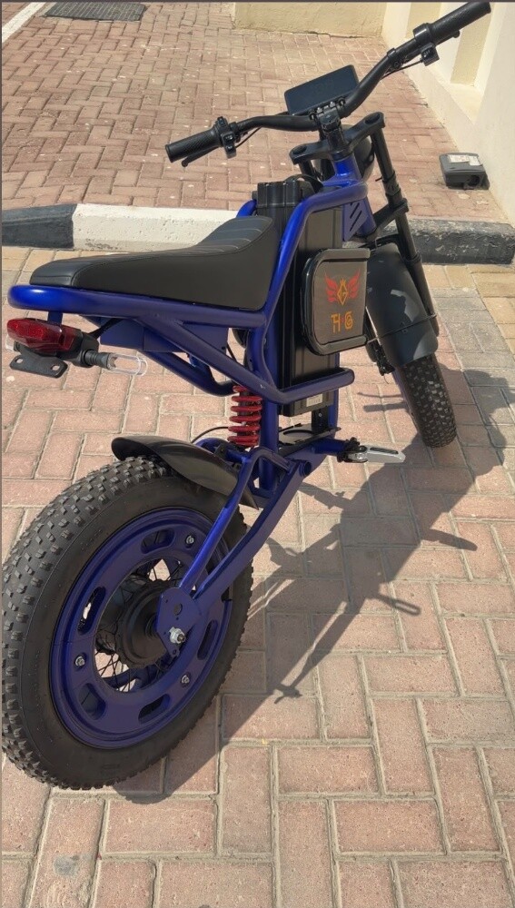 Aster x9 Ebike for sale - 3