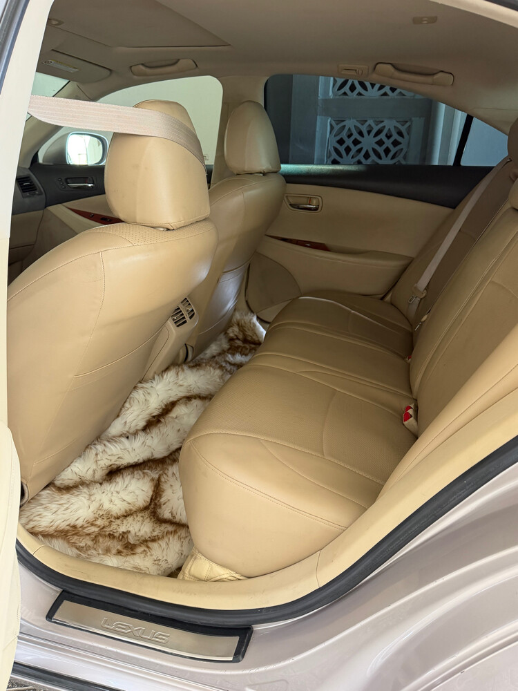 for Sale Lexus ES350 - 10