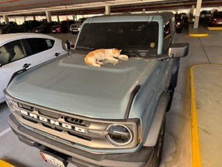 Ford Bronco 2021 Big Bend - 3