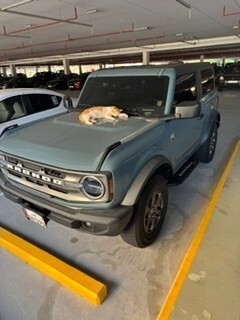 Ford Bronco 2021 Big Bend - 4