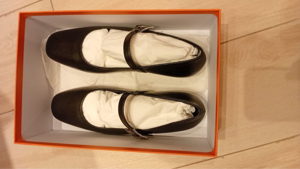 Hermès Jane Ballet Flats in black C - 4