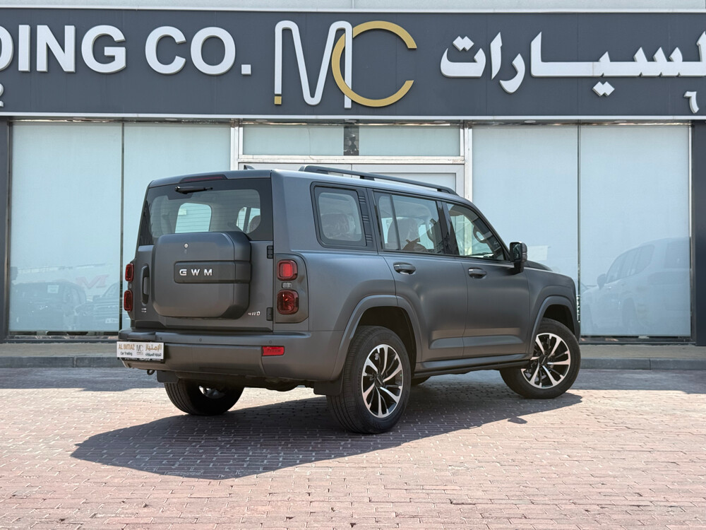 هافال 2027 رمادي مطفي اصفار - 5