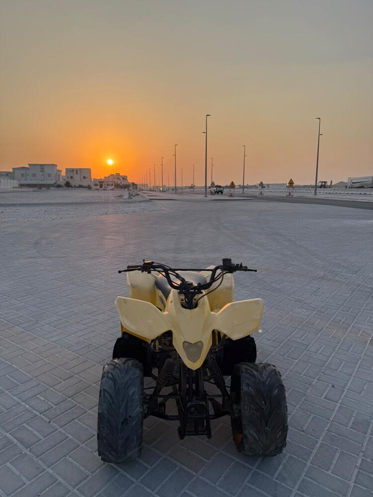 بطبطة  - 2