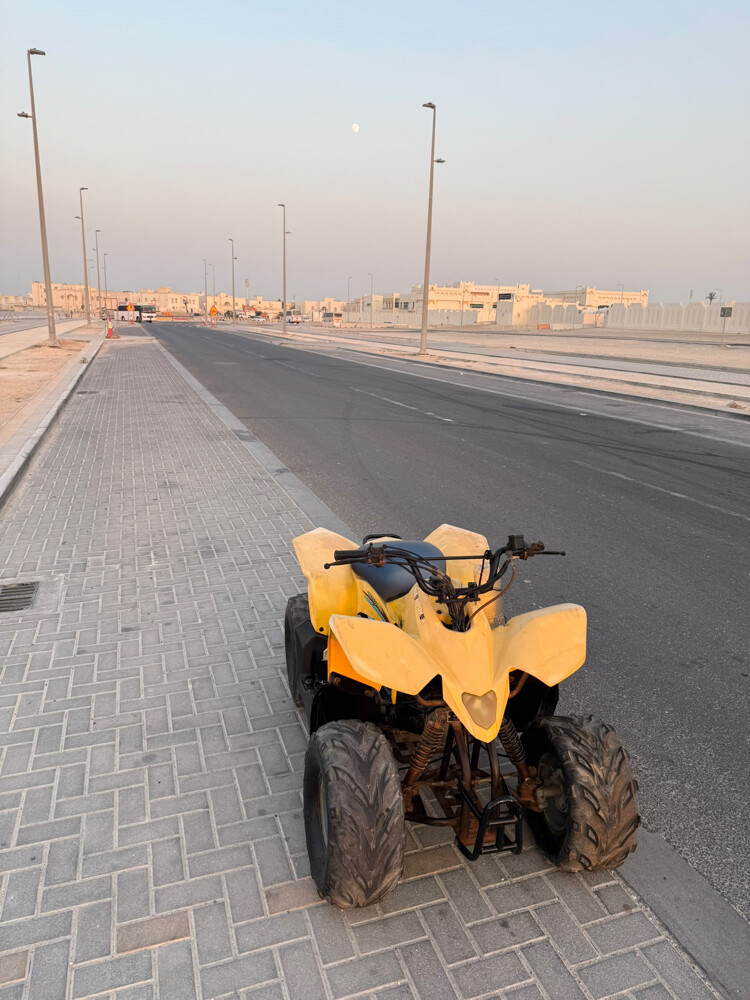 بطبطة  - 3