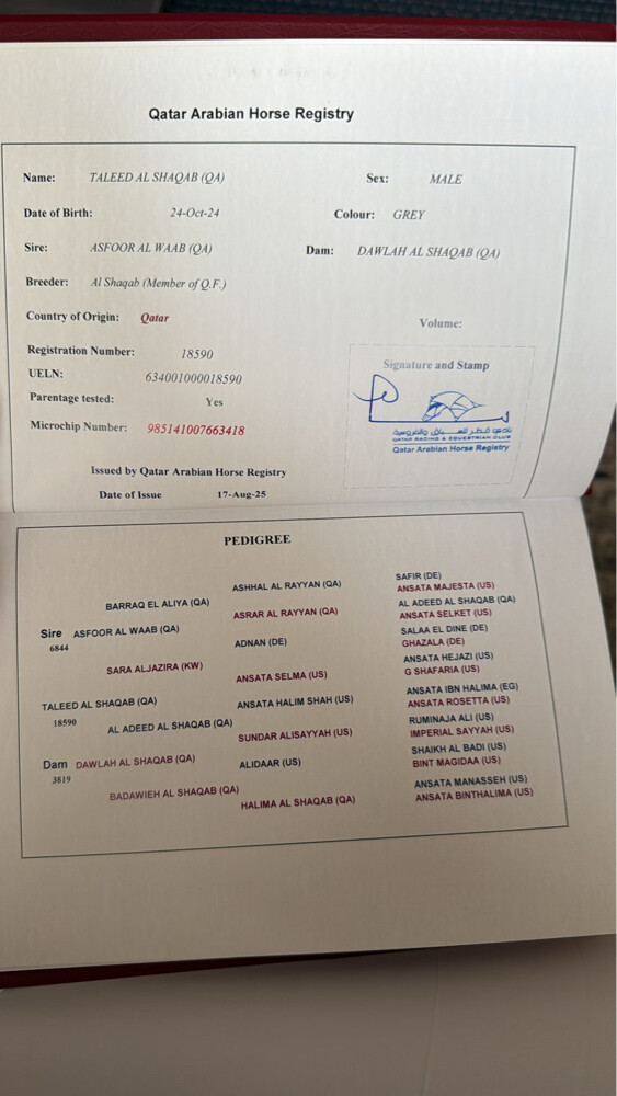 بيع - 2