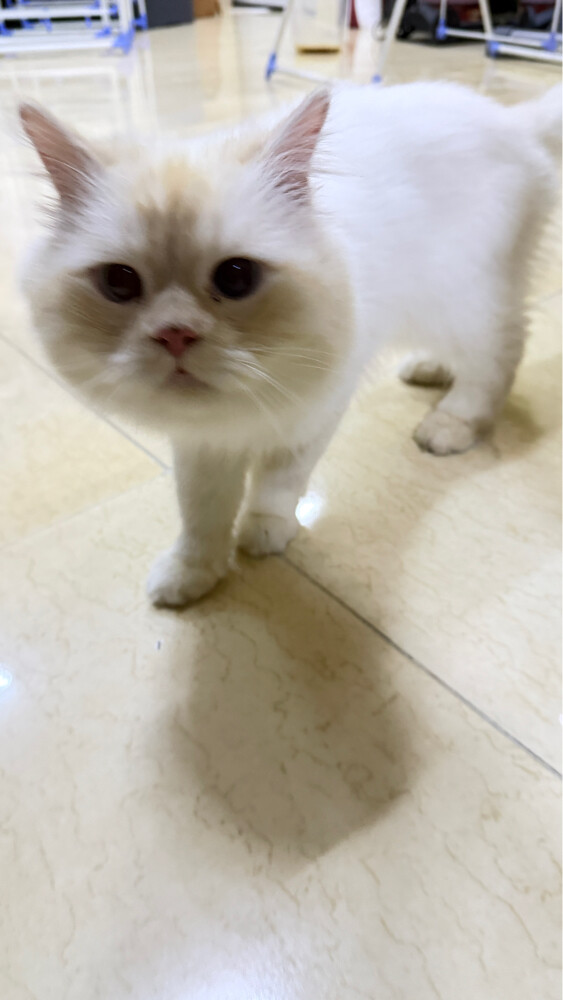 للتبني  - 1