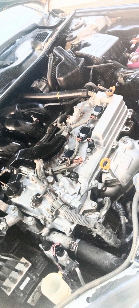 maqsood - 3