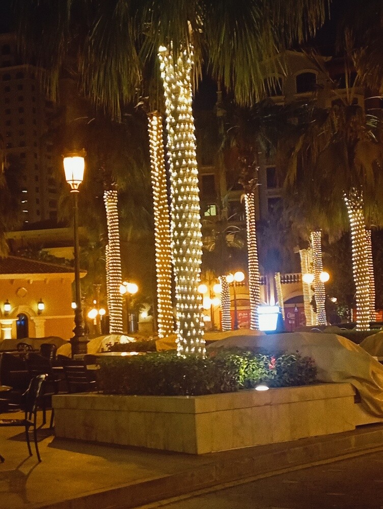 مقاولات كهرباء ولند اسكيب - 4