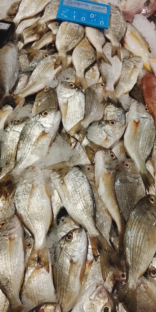 fish sale - 11