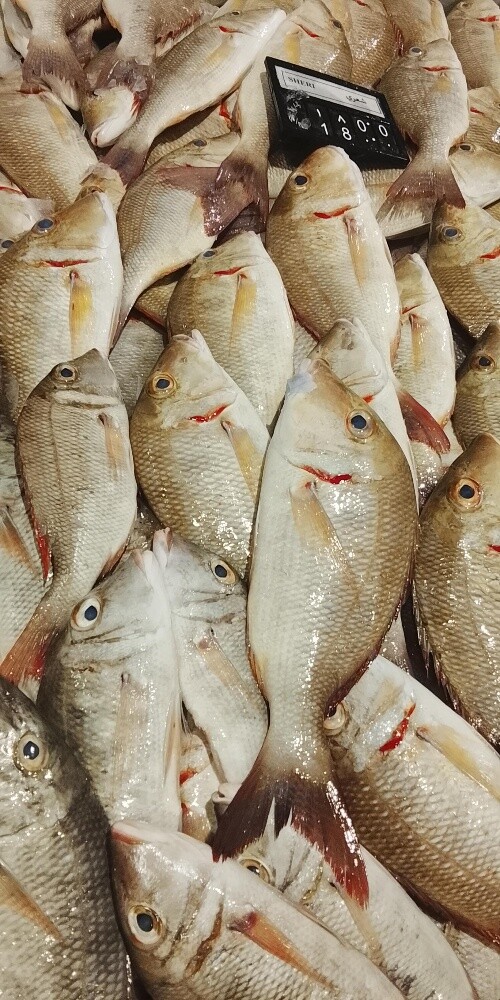 fish sale - 8