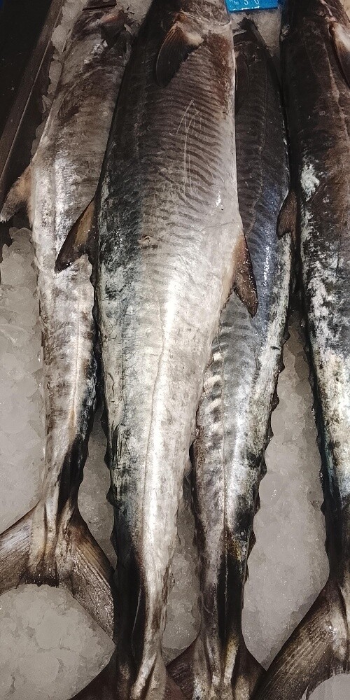 fish sale - 9