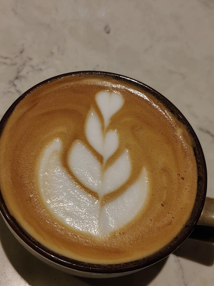 Barista Dora - 2