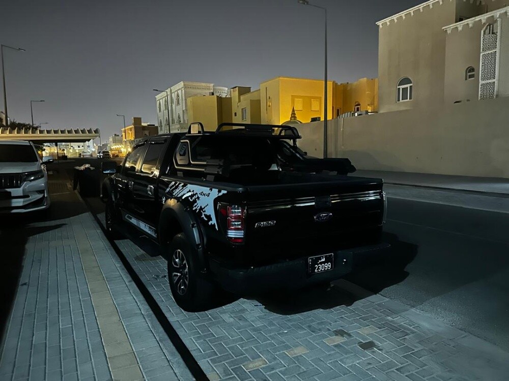 ford f150 2009 - 7