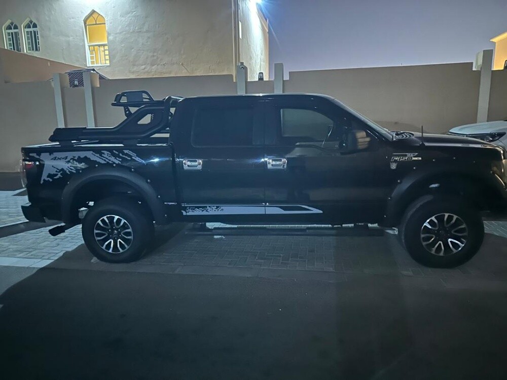 ford f150 2009 - 3