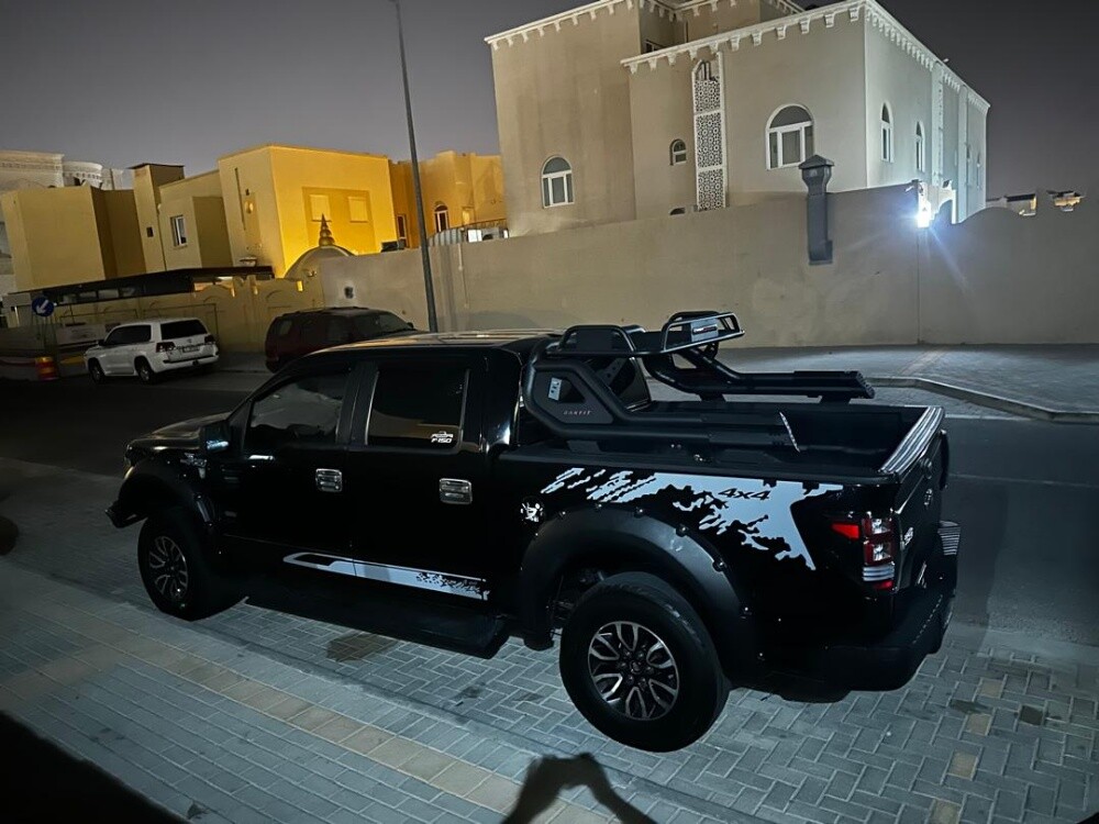 ford f150 2009 - 12