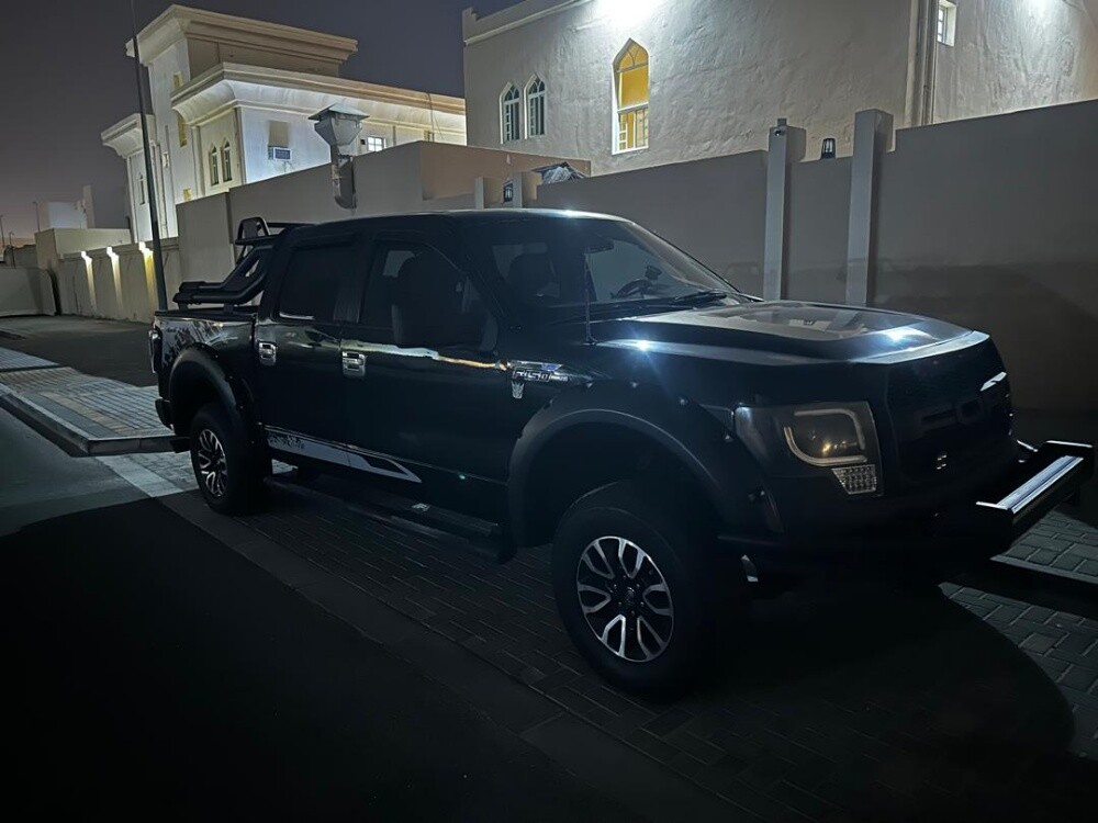 ford f150 2009 - 15