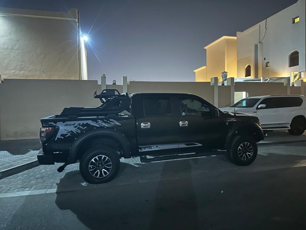 ford f150 2009 - 1