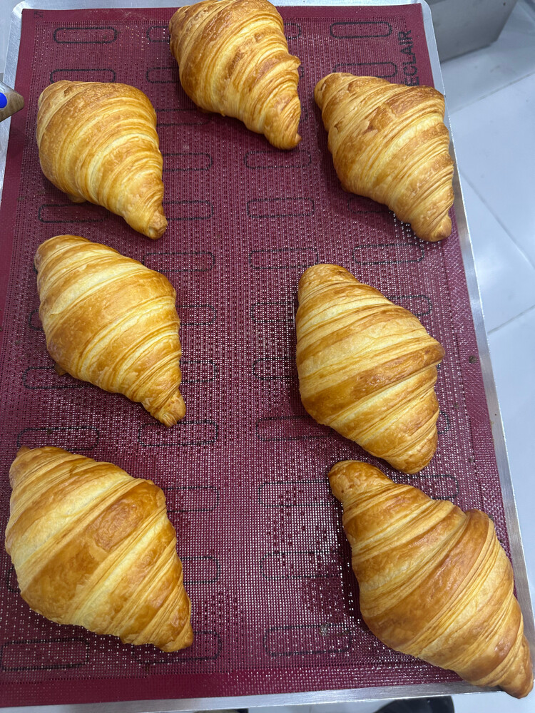 ايوب  - 6