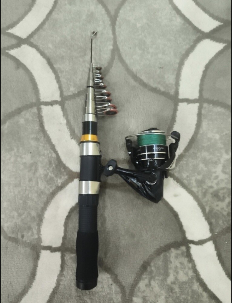 Fishing rod with reel, ready for fi - 5