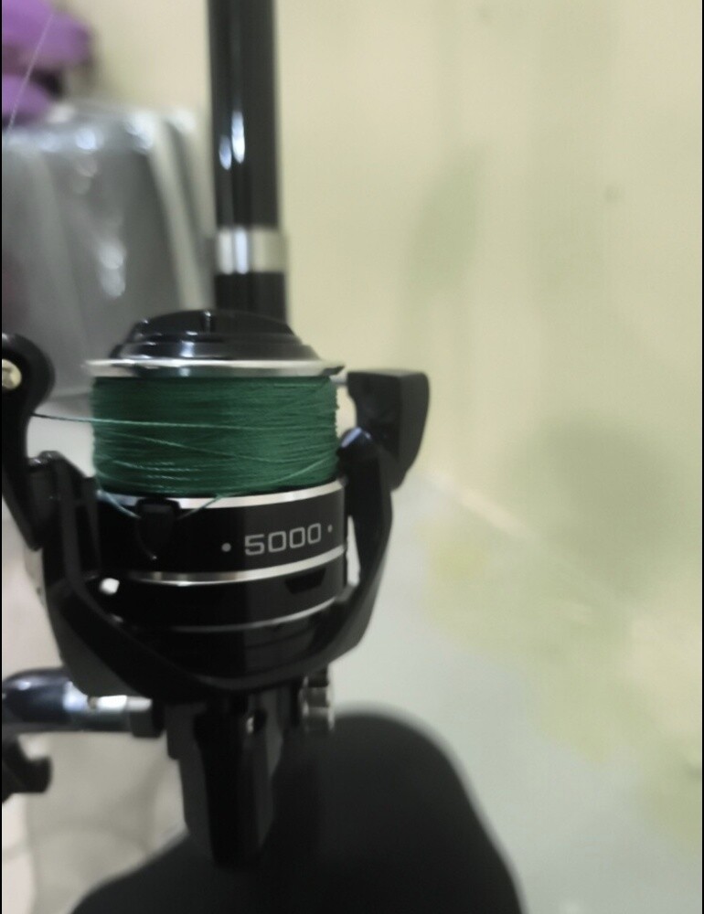 Fishing rod with reel, ready for fi - 4