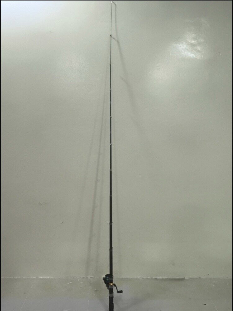 Fishing rod with reel, ready for fi - 1